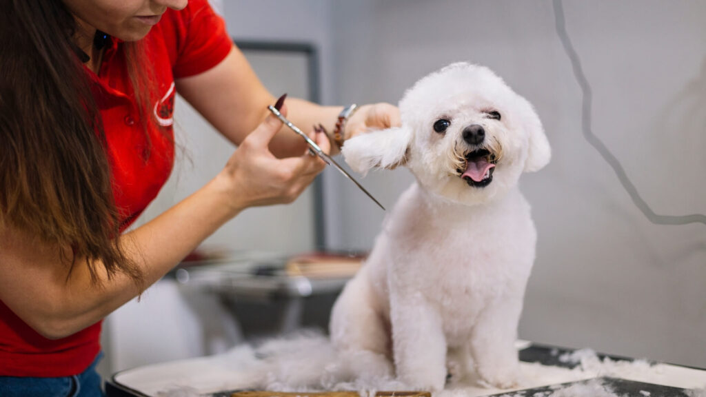 Petgrooming