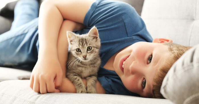 Evde Kedi Beslemenin Cocuklara Faydalari Nelerdir