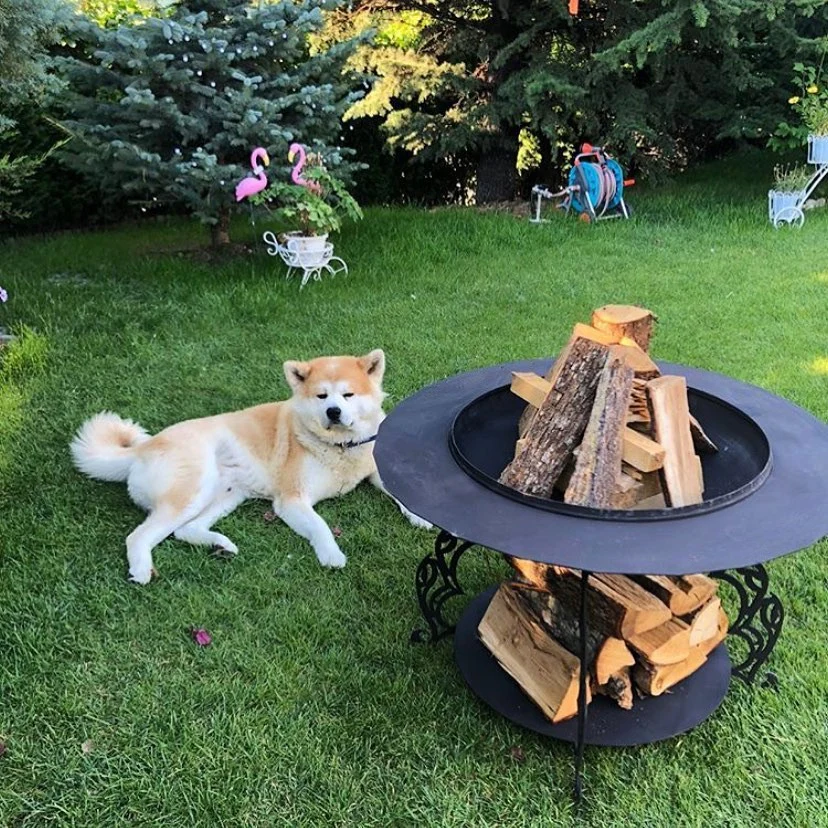 ateş çukuru bahçe şöminesi